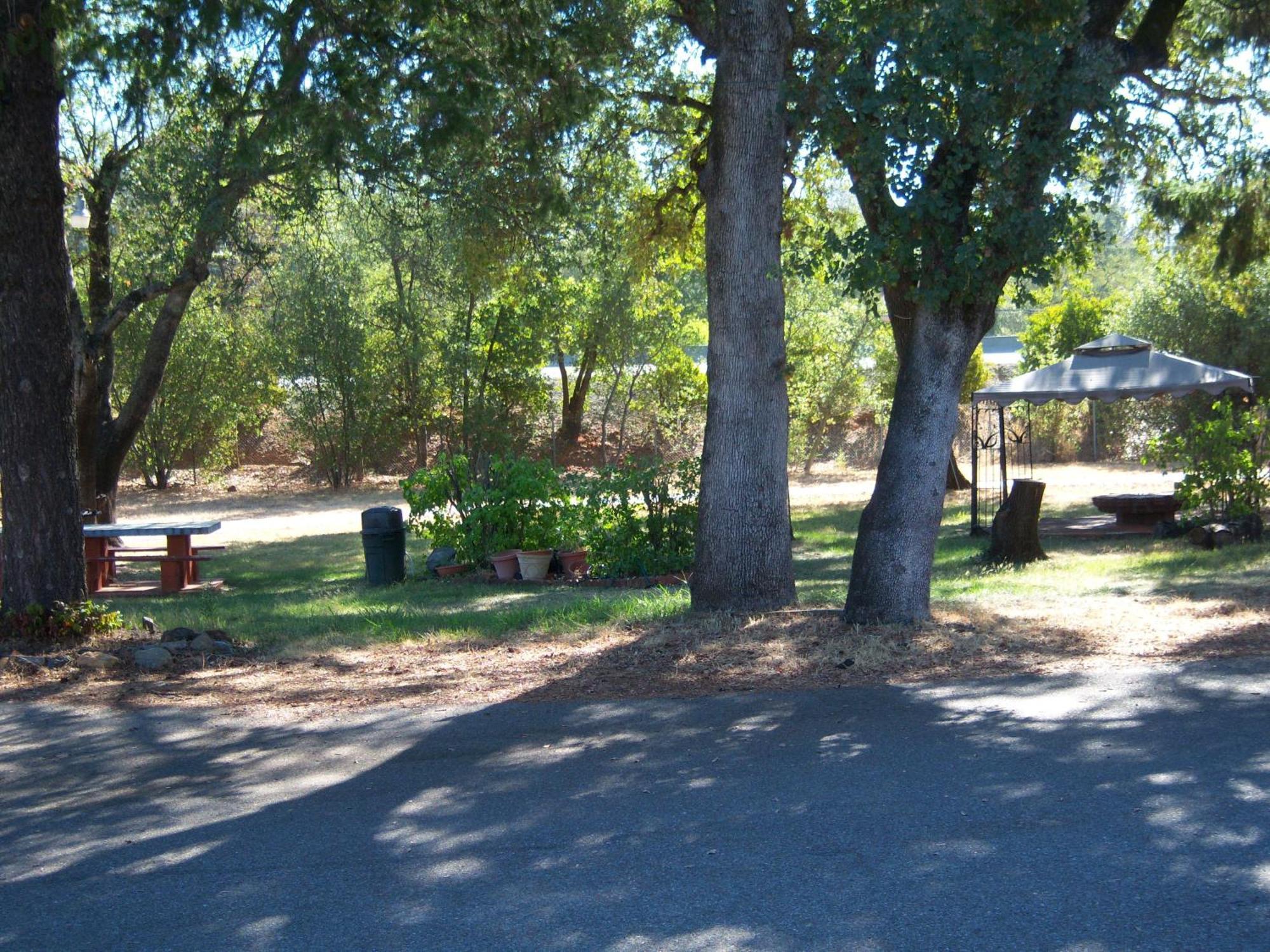 Shasta Dam Motel Шаста Лейк Екстер'єр фото